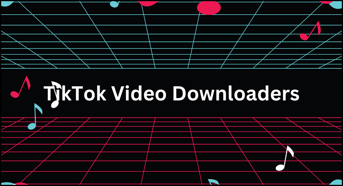 Tiktok Video downloader