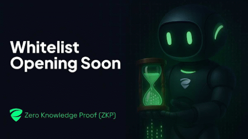 Zero Knowledge Proof (ZKP): The New AI Crypto That’s Building The Safest Network in Decentralized History 