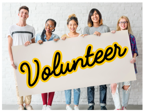 How to Volunteer in Costa Rica With Top Projects Visa Details Costs and What to Expect