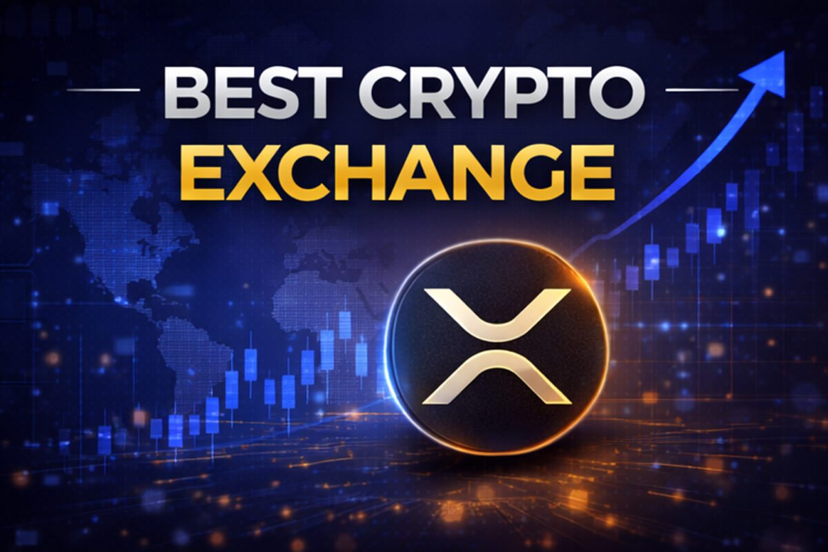 Best Crypto Exchange Search Points to Pepeto as $8 Million Flows In While XRP and SOL Wait