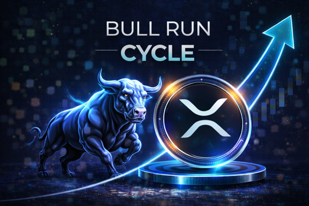 Crypto Bull Run Setup Builds as Goldman Exits SOL and XRP While Pepeto, BNB, and DOGE Hold Ground